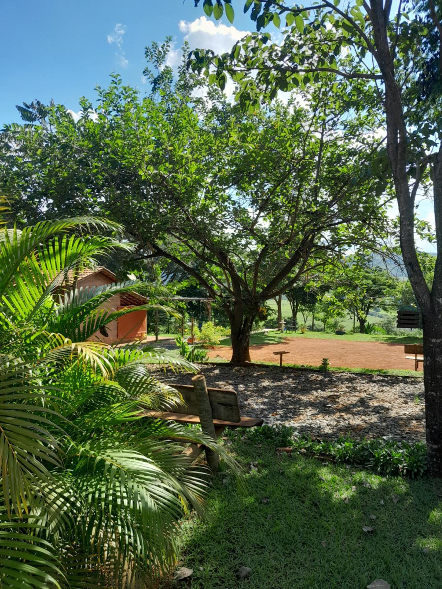 Chales Recanto Das Seriemas São Roque de Minas Esterno foto